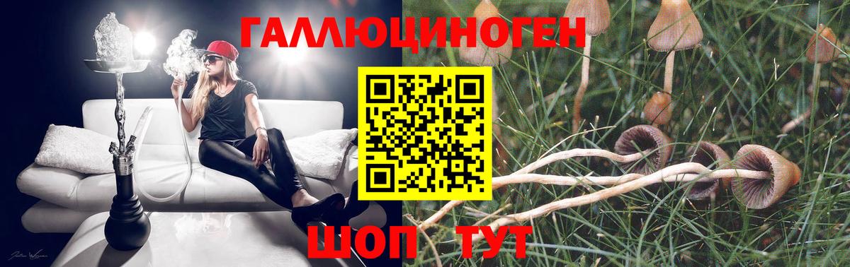 Галлюциногенные грибы ЛСД Можайск